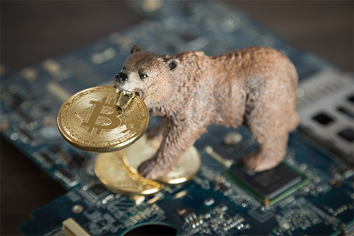 PR Marketing Tips to survive in the bear crypto market